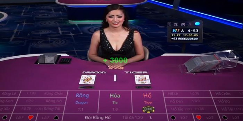 Quan sát hình ảnh trong game để đặt cược linh hoạt 